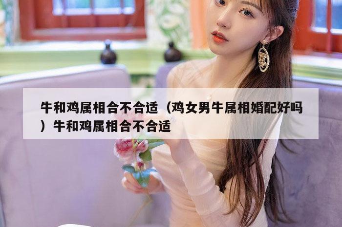 牛和鸡属相合不合适(鸡女男牛属相婚配好吗)牛和鸡属相合不合适
